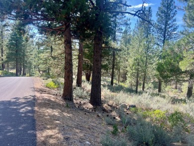 Calling all thrill-seekers and mountain dreamers, get pumped to on Nakoma Golf Resort in California - for sale on GolfHomes.com, golf home, golf lot