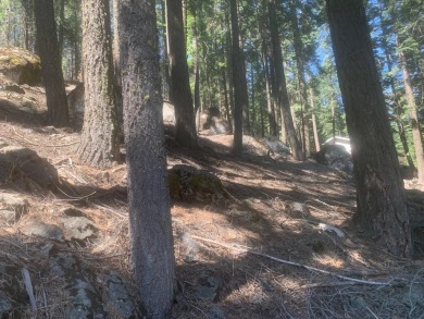 Wonderful lot at Lake Almanor West with a great building site at on Lake Almanor West Golf Course in California - for sale on GolfHomes.com, golf home, golf lot