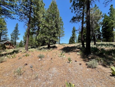 Discover the ideal setting for your dream home at this premier on Grizzly Ranch Golf Club in California - for sale on GolfHomes.com, golf home, golf lot