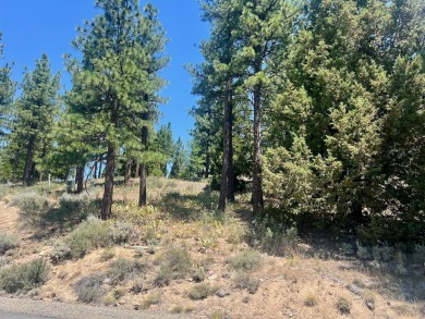 Discover the ideal setting for your dream home at this premier on Grizzly Ranch Golf Club in California - for sale on GolfHomes.com, golf home, golf lot