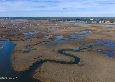 Welcome to the Arboretum community, one of Caswell Beach's best on Oak Island Golf Club in North Carolina - for sale on GolfHomes.com, golf home, golf lot