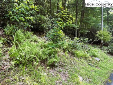 Great price on a gently sloping lot on a paved road!  Minutes to on Beech Mountain Club in North Carolina - for sale on GolfHomes.com, golf home, golf lot