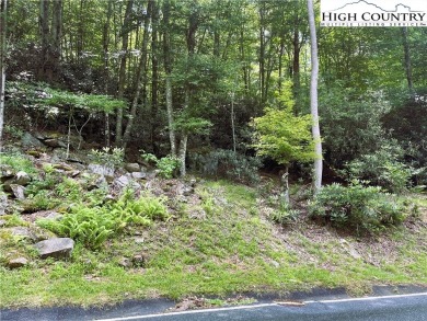 Great price on a gently sloping lot on a paved road!  Minutes to on Beech Mountain Club in North Carolina - for sale on GolfHomes.com, golf home, golf lot