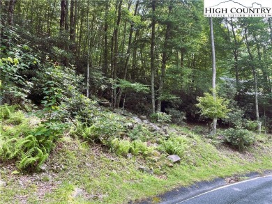 Great price on a gently sloping lot on a paved road!  Minutes to on Beech Mountain Club in North Carolina - for sale on GolfHomes.com, golf home, golf lot