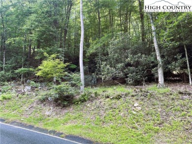 Great price on a gently sloping lot on a paved road!  Minutes to on Beech Mountain Club in North Carolina - for sale on GolfHomes.com, golf home, golf lot