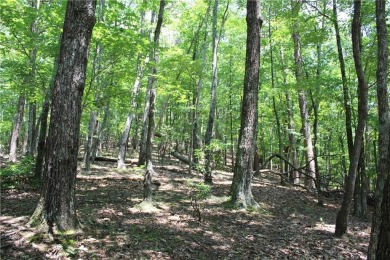 ***SOIL TEST ON FILE by APPALACHAIN SOIL, INC.*** Welcome to on Bent Tree Golf Course in Georgia - for sale on GolfHomes.com, golf home, golf lot