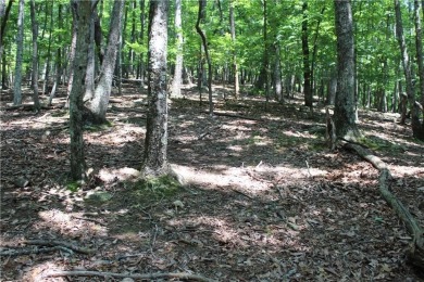 ***SOIL TEST ON FILE by APPALACHAIN SOIL, INC.*** Welcome to on Bent Tree Golf Course in Georgia - for sale on GolfHomes.com, golf home, golf lot