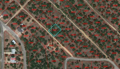 Great land value for building your home in Kingsland, Texas! on Lighthouse Golf Course in Texas - for sale on GolfHomes.com, golf home, golf lot