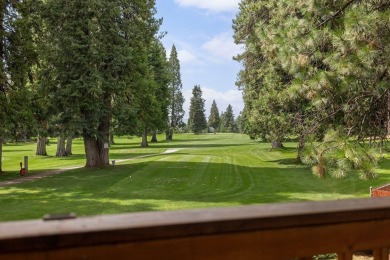 Perched along the second tee box of the Lake Almanor Country on Lake Almanor Country Club in California - for sale on GolfHomes.com, golf home, golf lot