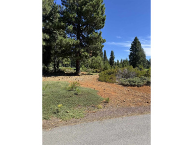 456 Durkin Drive on Bailey Creek Golf Course in California - for sale on GolfHomes.com, golf home, golf lot