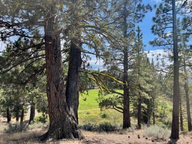 CATCH IT IF YOU CAN... This stunning lot on FOX RUN at NAKOMA! on Nakoma Golf Resort in California - for sale on GolfHomes.com, golf home, golf lot