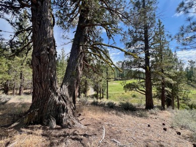 CATCH IT IF YOU CAN... This stunning lot on FOX RUN at NAKOMA! on Nakoma Golf Resort in California - for sale on GolfHomes.com, golf home, golf lot
