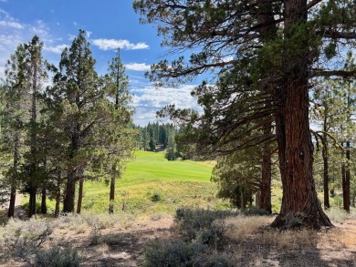 CATCH IT IF YOU CAN... This stunning lot on FOX RUN at NAKOMA! on Nakoma Golf Resort in California - for sale on GolfHomes.com, golf home, golf lot