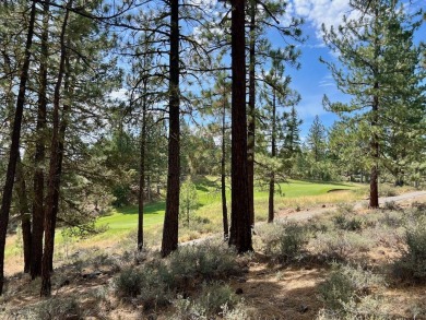 CATCH IT IF YOU CAN... This stunning lot on FOX RUN at NAKOMA! on Nakoma Golf Resort in California - for sale on GolfHomes.com, golf home, golf lot