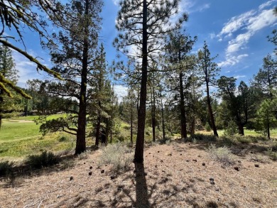 CATCH IT IF YOU CAN... This stunning lot on FOX RUN at NAKOMA! on Nakoma Golf Resort in California - for sale on GolfHomes.com, golf home, golf lot