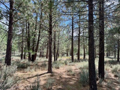 CATCH IT IF YOU CAN... This stunning lot on FOX RUN at NAKOMA! on Nakoma Golf Resort in California - for sale on GolfHomes.com, golf home, golf lot