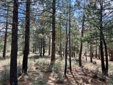 CATCH IT IF YOU CAN... This stunning lot on FOX RUN at NAKOMA! on Nakoma Golf Resort in California - for sale on GolfHomes.com, golf home, golf lot