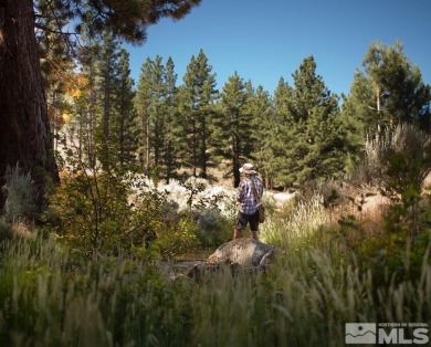 This site is almost a perfect half-acre square -- a fitting on Clear Creek Tahoe in Nevada - for sale on GolfHomes.com, golf home, golf lot