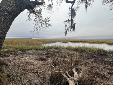 The exceptional marsh views from this 0.84 acre homesite make it on Sapelo Hammock Golf Club in Georgia - for sale on GolfHomes.com, golf home, golf lot