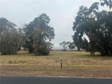 The exceptional marsh views from this 0.84 acre homesite make it on Sapelo Hammock Golf Club in Georgia - for sale on GolfHomes.com, golf home, golf lot