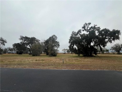 The exceptional marsh views from this 0.84 acre homesite make it on Sapelo Hammock Golf Club in Georgia - for sale on GolfHomes.com, golf home, golf lot