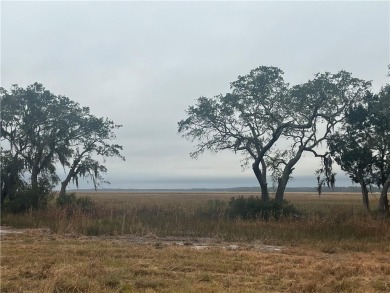 The exceptional marsh views from this 0.84 acre homesite make it on Sapelo Hammock Golf Club in Georgia - for sale on GolfHomes.com, golf home, golf lot