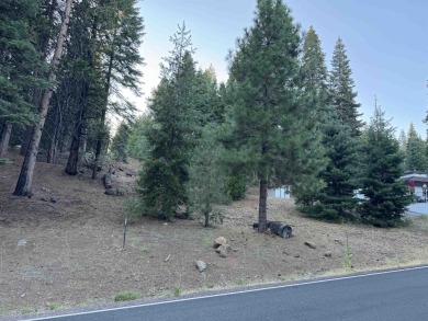 Great opportunity!  two lots in the Lake Almanor Country Club on Lake Almanor Country Club in California - for sale on GolfHomes.com, golf home, golf lot