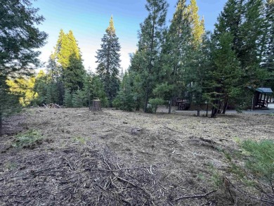 Great opportunity!  two lots in the Lake Almanor Country Club on Lake Almanor Country Club in California - for sale on GolfHomes.com, golf home, golf lot
