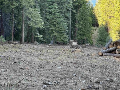 Great opportunity!  two lots in the Lake Almanor Country Club on Lake Almanor Country Club in California - for sale on GolfHomes.com, golf home, golf lot