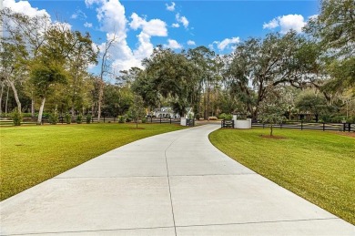 This home is located in the Hampton Point Subdivision. This on The King and Prince Golf Course, Home of the Hampton Club in Georgia - for sale on GolfHomes.com, golf home, golf lot