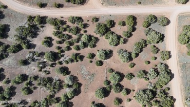 Discover the perfect canvas for your dream home with this 1/4 on Silver Creek Golf Club in Arizona - for sale on GolfHomes.com, golf home, golf lot