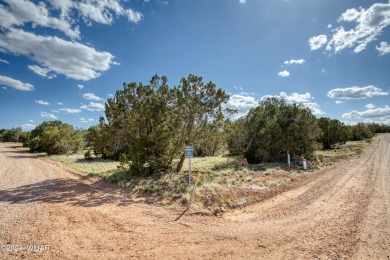 Discover the perfect canvas for your dream home with this 1/4 on Silver Creek Golf Club in Arizona - for sale on GolfHomes.com, golf home, golf lot