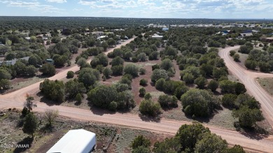 Discover the perfect canvas for your dream home with this 1/4 on Silver Creek Golf Club in Arizona - for sale on GolfHomes.com, golf home, golf lot