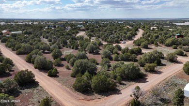 Discover the perfect canvas for your dream home with this 1/4 on Silver Creek Golf Club in Arizona - for sale on GolfHomes.com, golf home, golf lot