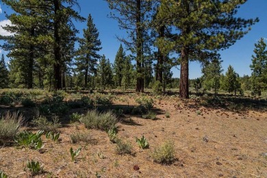 Nestled within the coveted Lahontan community, this remarkable on Lahontan Golf Club - Lahontan in California - for sale on GolfHomes.com, golf home, golf lot