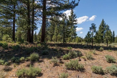 Nestled within the coveted Lahontan community, this remarkable on Lahontan Golf Club - Lahontan in California - for sale on GolfHomes.com, golf home, golf lot