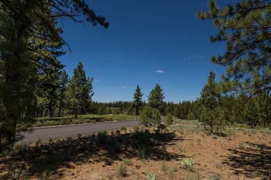 Nestled within the coveted Lahontan community, this remarkable on Lahontan Golf Club - Lahontan in California - for sale on GolfHomes.com, golf home, golf lot