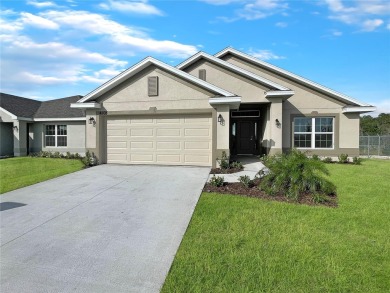 Brand New move-in ready Home 4 bedrooms and 2 bathrooms with a on Harmony Golf Preserve in Florida - for sale on GolfHomes.com, golf home, golf lot