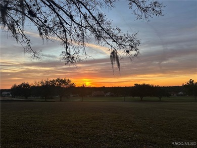 A truly rare and once-in-a-lifetime opportunity awaits you to on Skyview At Terra Vista Golf and Country Club in Florida - for sale on GolfHomes.com, golf home, golf lot