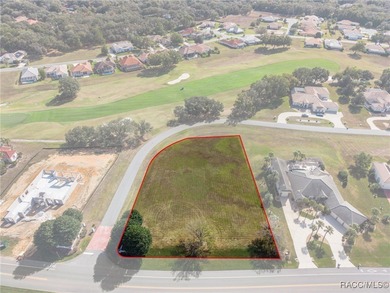 A truly rare and once-in-a-lifetime opportunity awaits you to on Skyview At Terra Vista Golf and Country Club in Florida - for sale on GolfHomes.com, golf home, golf lot