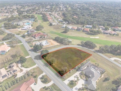 A truly rare and once-in-a-lifetime opportunity awaits you to on Skyview At Terra Vista Golf and Country Club in Florida - for sale on GolfHomes.com, golf home, golf lot