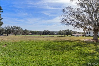 A truly rare and once-in-a-lifetime opportunity awaits you to on Skyview At Terra Vista Golf and Country Club in Florida - for sale on GolfHomes.com, golf home, golf lot