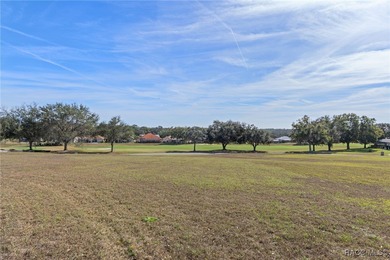 A truly rare and once-in-a-lifetime opportunity awaits you to on Skyview At Terra Vista Golf and Country Club in Florida - for sale on GolfHomes.com, golf home, golf lot
