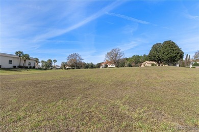 A truly rare and once-in-a-lifetime opportunity awaits you to on Skyview At Terra Vista Golf and Country Club in Florida - for sale on GolfHomes.com, golf home, golf lot