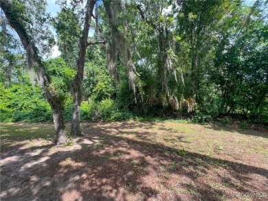 A RARE GEM! Beautiful golf course corner lot (.66 acres) located on Sugarmill Woods Golf and Country Club in Florida - for sale on GolfHomes.com, golf home, golf lot