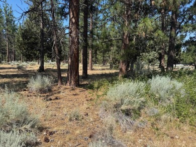 Rare, side by side, golf course access lots offered at a on Lake Shastina Golf Course in California - for sale on GolfHomes.com, golf home, golf lot