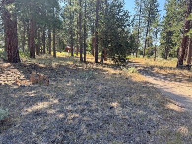 Rare, side by side, golf course access lots offered at a on Lake Shastina Golf Course in California - for sale on GolfHomes.com, golf home, golf lot