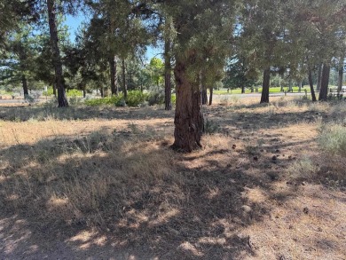Rare, side by side, golf course access lots offered at a on Lake Shastina Golf Course in California - for sale on GolfHomes.com, golf home, golf lot