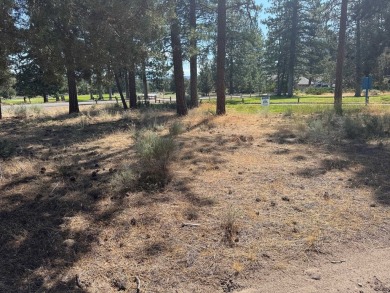 Rare, side by side, golf course access lots offered at a on Lake Shastina Golf Course in California - for sale on GolfHomes.com, golf home, golf lot