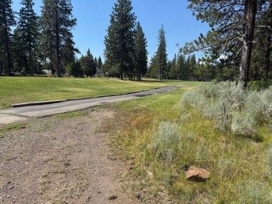 Rare, side by side, golf course access lots offered at a on Lake Shastina Golf Course in California - for sale on GolfHomes.com, golf home, golf lot